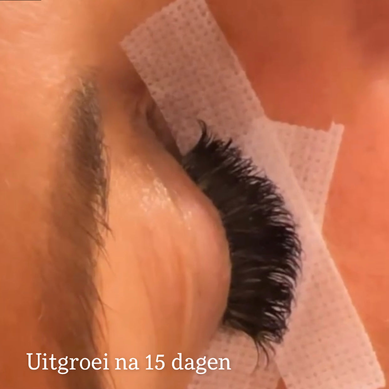 LVLASH Ultra Bond Adhesive 0.5S