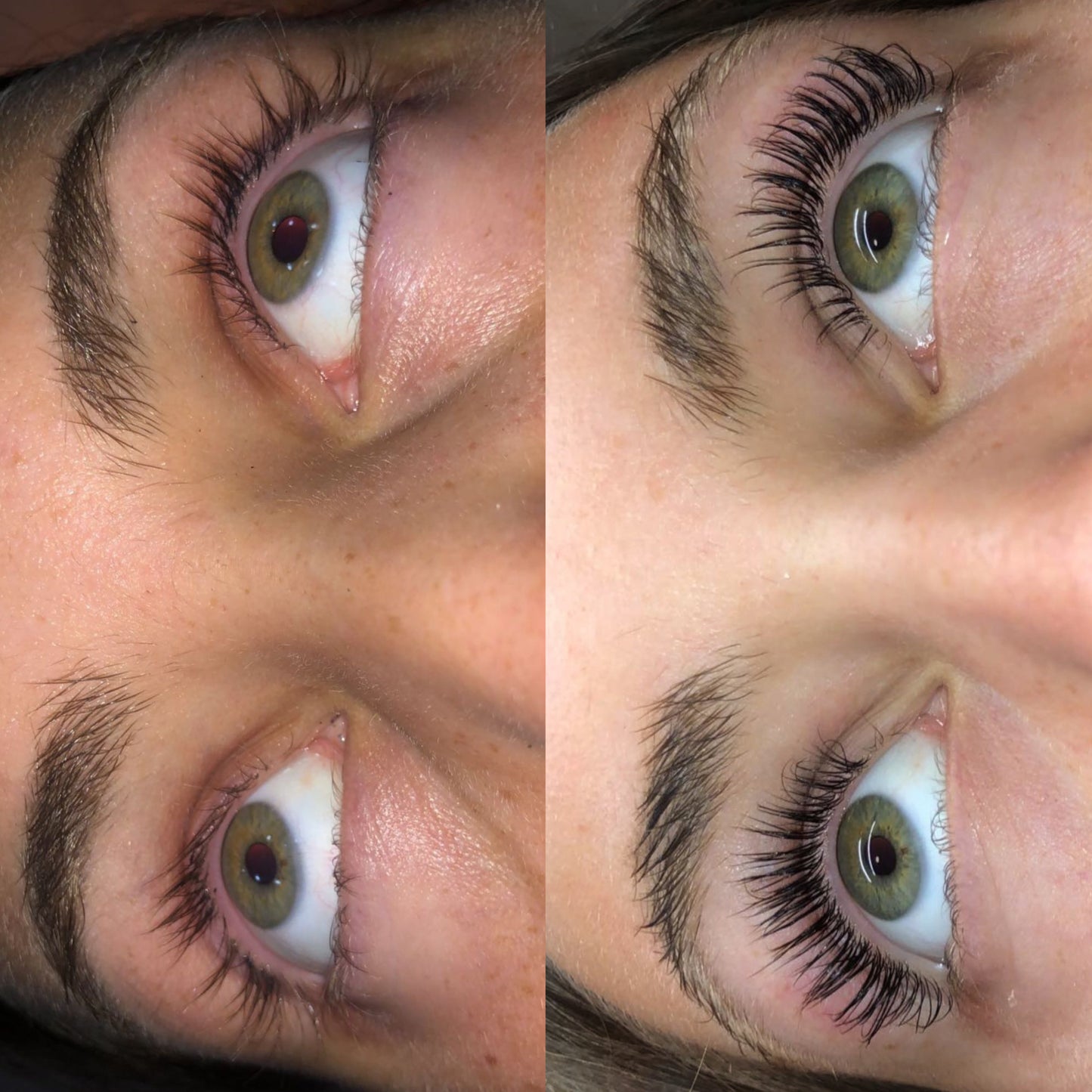 LVLASH Lash & Brow Serum
