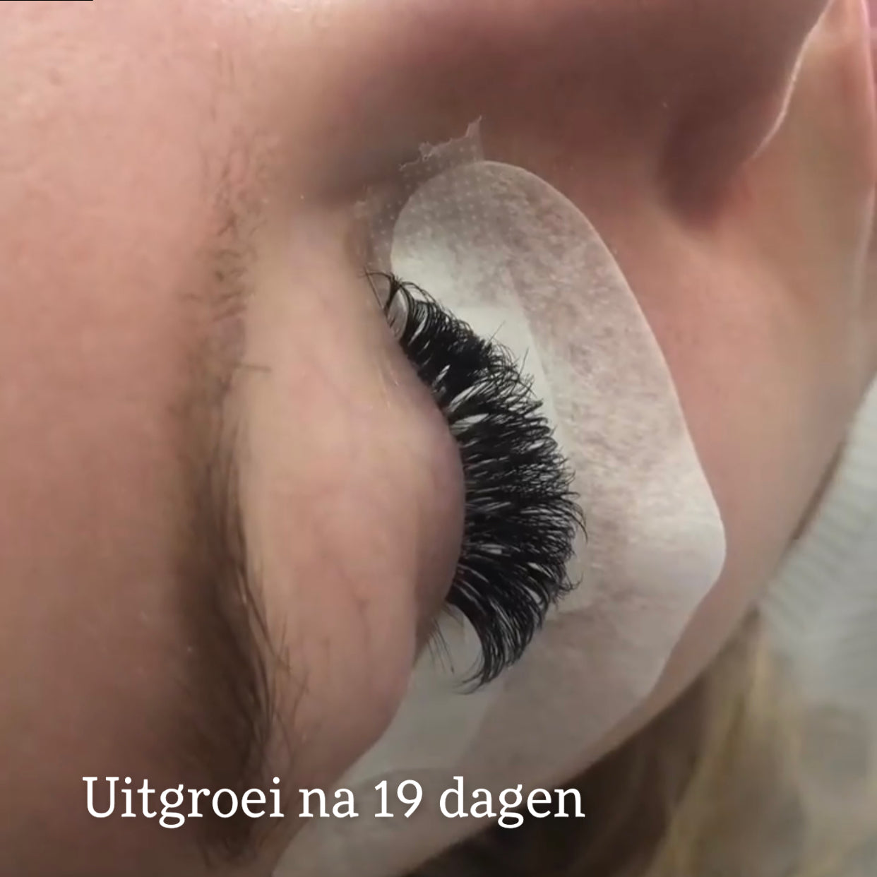 LVLASH Ultra Bond Adhesive 0.5S
