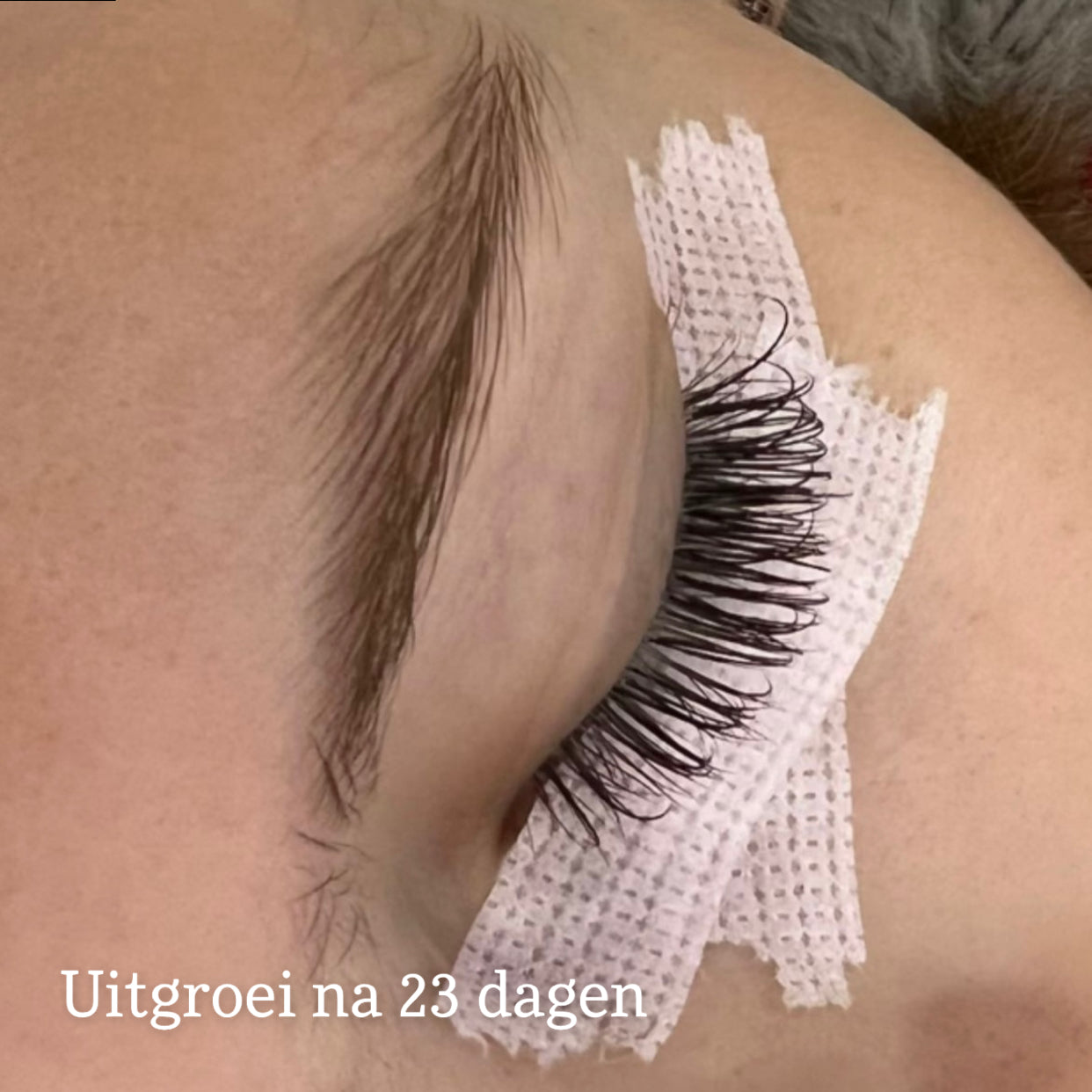 LVLASH Ultra Bond Adhesive 0.5S