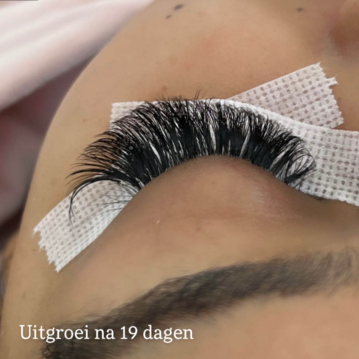 LVLASH Ultra Bond Adhesive 0.5S