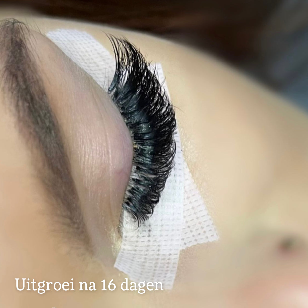LVLASH Ultra Bond Adhesive 0.5S