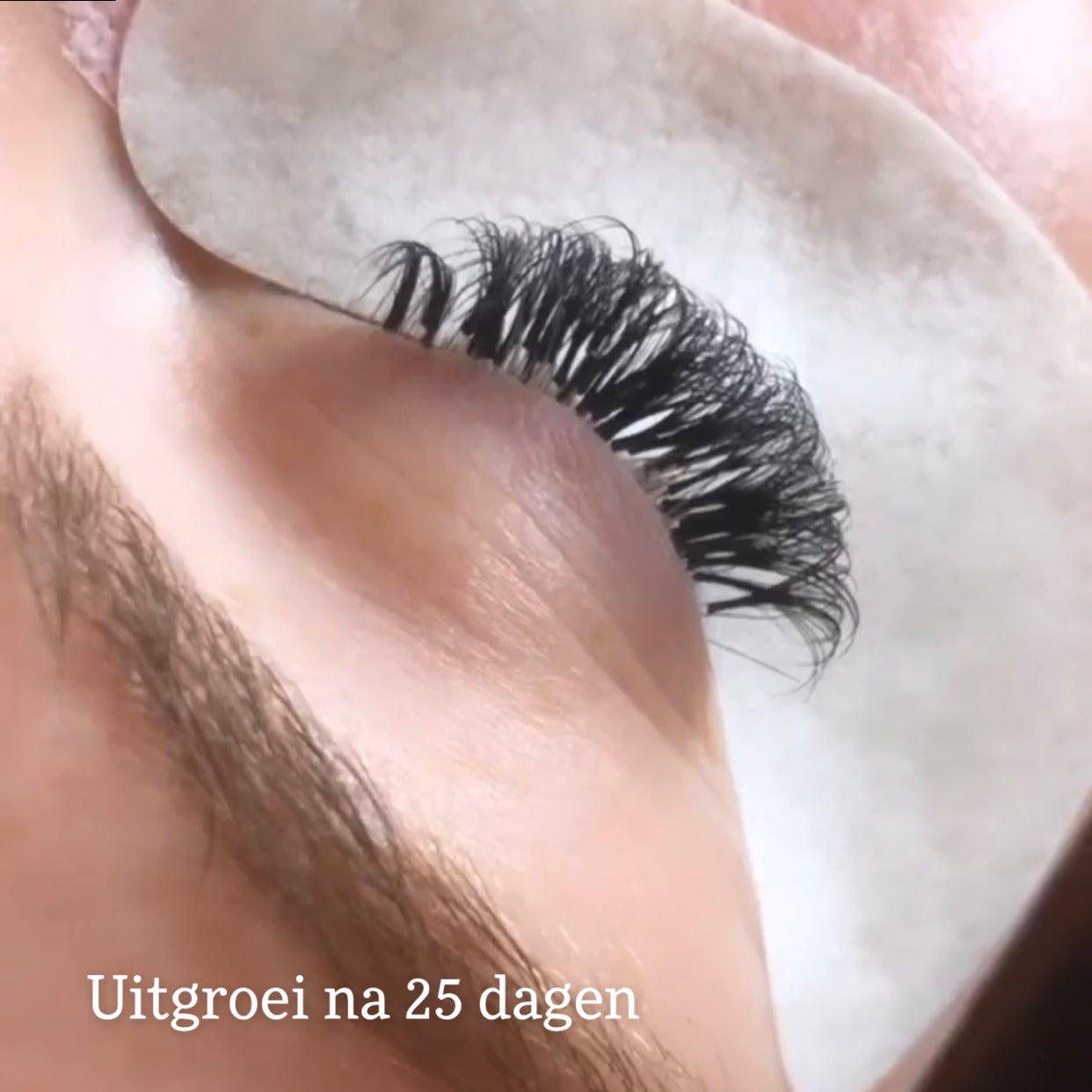 LVLASH Ultra Bond Adhesive 1S