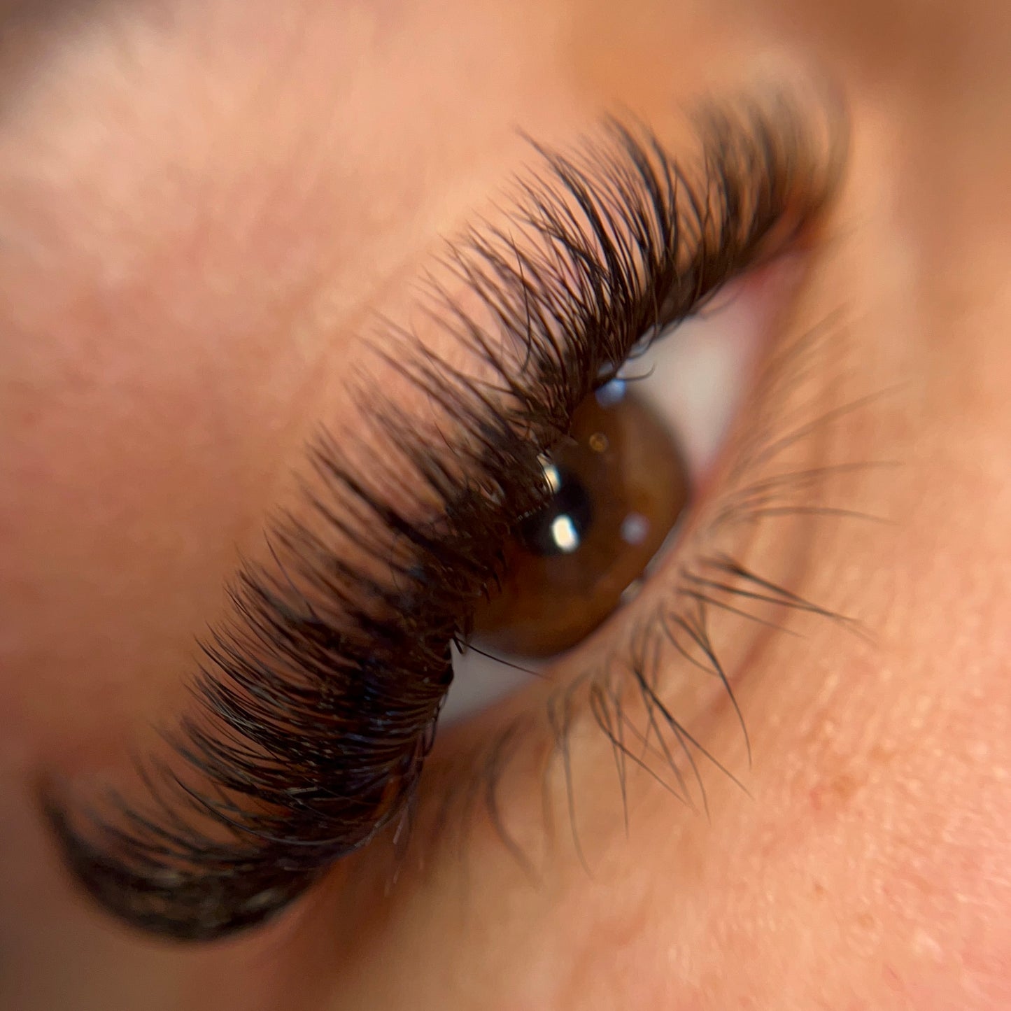 Volume Lashes D-Krul 0.05